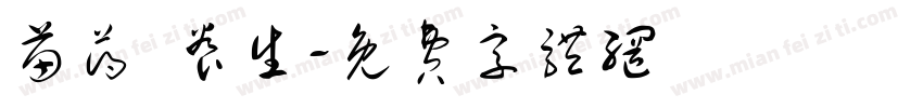苗药 养生字体转换